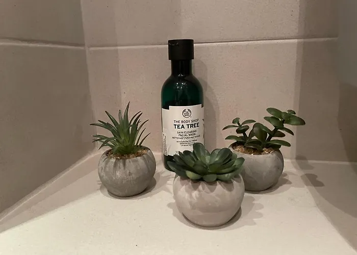 Lejlighed Lovely 2-bedroom Serviced With Bansko